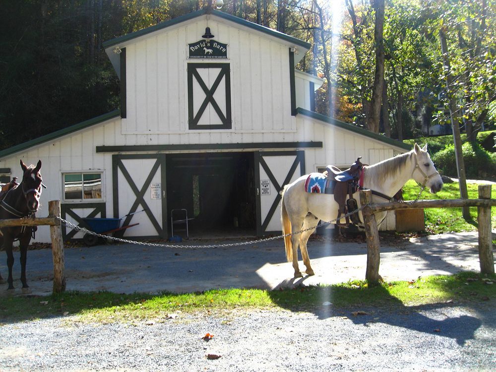 Valle Crucis Farm Bagian luar foto
