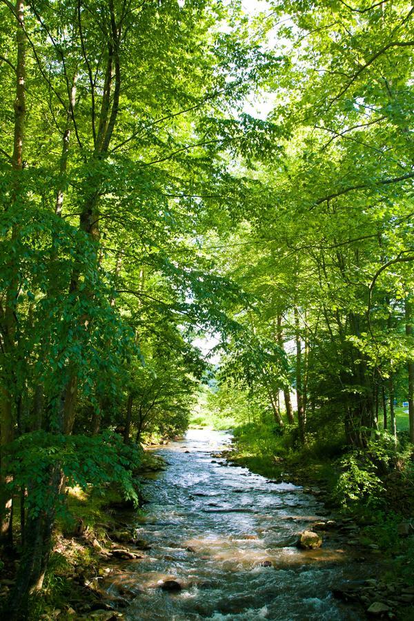 Valle Crucis Farm Bagian luar foto